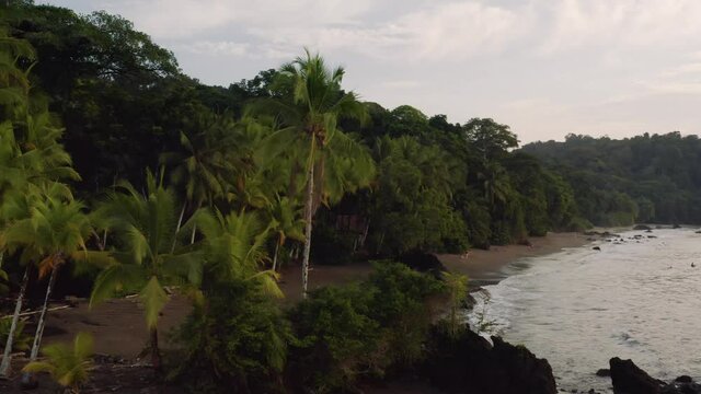 Sandy beach of the Pacific Ocean with palm trees in Choco, Colombia, near Nuqui, drone aerial view above the shore