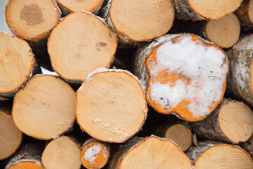 A large pile of sawn round firewood. Close-up photo.