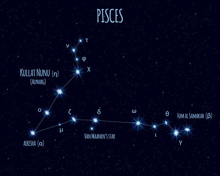 Pisces (The Fishes) constellation, vector illustration with the names of basic stars against the starry sky
