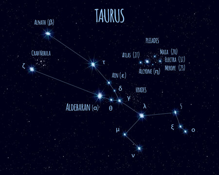 Taurus (The Bull) constellation, vector illustration with the names of basic stars against the starry sky