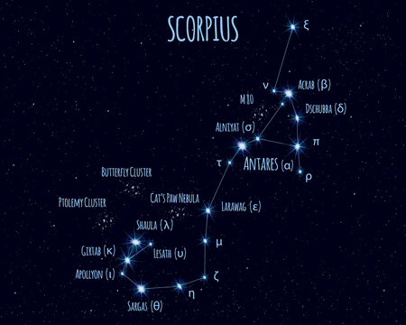 Scorpius (The Scorpion) constellation, vector illustration with the names of basic stars against the starry sky