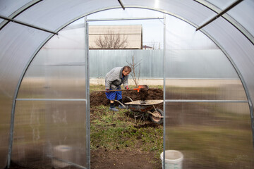 A woman with a shovel digs manure in a vegetable garden