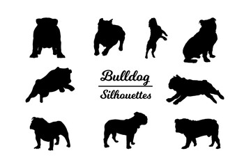 Bulldog silhouettes. Black and white outline