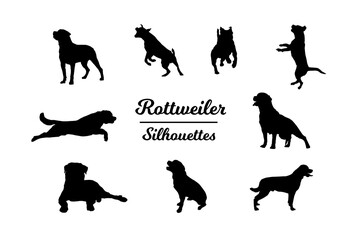 Rottweiler silhouettes. Black and white outline