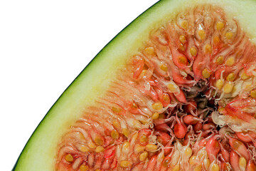 Closeup of a common fig fruit.