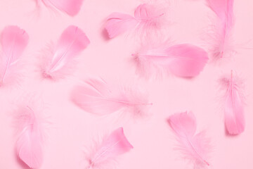 Lots of pastel colored feathers on a pink background.