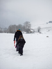 Fototapeta na wymiar Two people walking through the snow