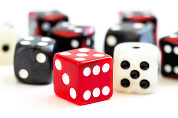 Selection of multi coloured dice on white background