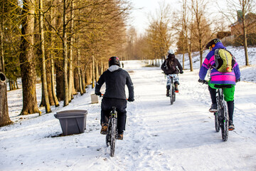 Fototapeta na wymiar Cyclists ride on the bike path in the city Park 
