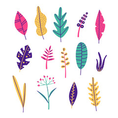 Big set, collection  of tropical leaves clipart element