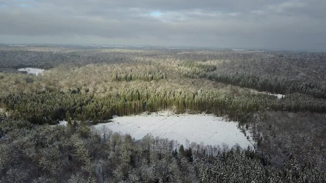 Belgique Wallonie Gaume Neige hiver bois foret Ardennes
