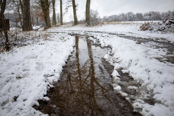 Winterliche Landschaft mit Wasser und einer Spiegelung der Bäume