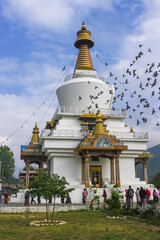 Morning view of Memorial Chorten in Thimphu capital of Bhutan with buddhist worshippers and pigeons in flight