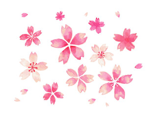 水彩風　桜