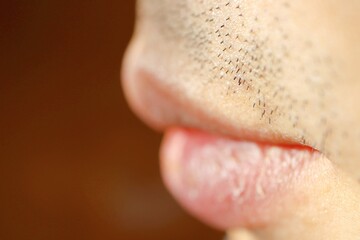 日本人男性の口髭のマクロ撮影