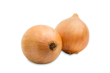 two big onions isolated on white background