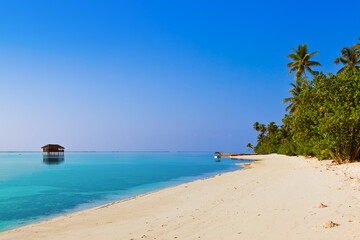 Fototapeta na wymiar Tropical beach at Maldives