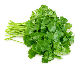 Coriander leaves isolated on white background, clipping path, full depth of field