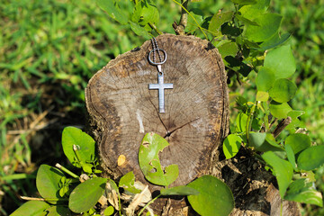 a cross necklace and a ring on a chopped tree surrounded by nature leaves and natural light