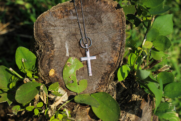 a cross necklace and a ring on a chopped tree surrounded by nature leaves and natural light
