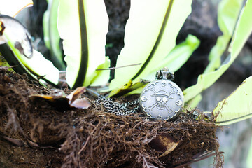 one piece pocket watch with skull engraving on a tree full of roots