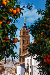 Obraz premium San Sebastian church tower in Antequera, Malaga Province, Andalusia, Spain