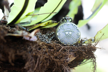 one piece pocket watch with skull engraving on a tree full of roots