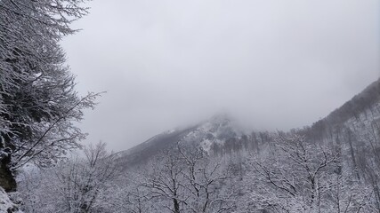 vista lungo il sentiero di montagna in inverno