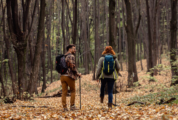 Obraz premium Two young hikers with backpack walking in forest.