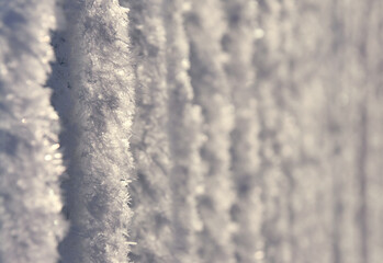 Fence in a thick layer of frost