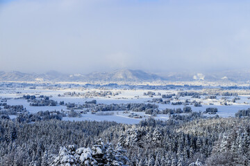冬の森林　雪山　風景　秋田県　1月