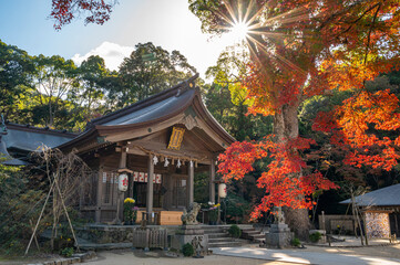 Obraz premium 竈門神社