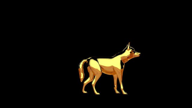 Golden wolf howling seamless loop, Luma Matte