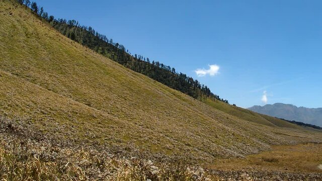 Concept N6 Savanna With Rocky Cliff and Mountainous View on Sight at Mount Bromo
