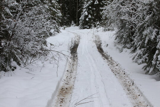 Image of a winter snowy road in the forest.White snow mixed with black earth on the track