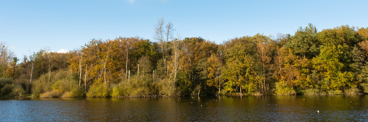 Herbstwald im Naturschutzgebiet Beversee, Bergkamen, Nordrhein-Westfalen, Deutschland