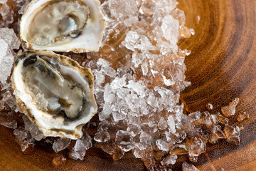 Oysters. Oysters on the half shell. Fresh oysters served with garlic, shallots, cocktail sauce, mignonette sauce and fresh lemons and limes. Classic American steakhouse or French bistro appetizer.