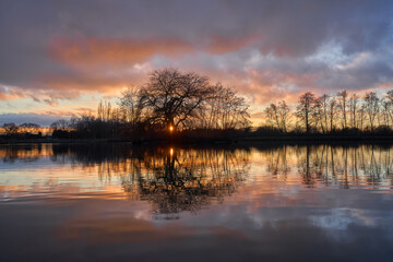 scenic sunset behind a row of leafless trees at the shore of a pond with tranquil water