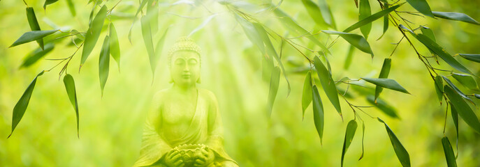 buddha figur im bambus wald
