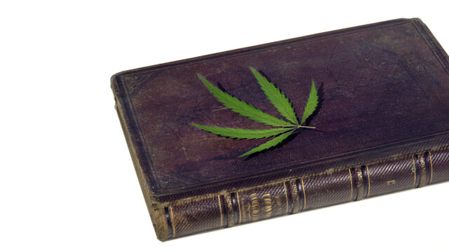 Antique book and cannabis leaf.Herbarium of a medicinal plant.