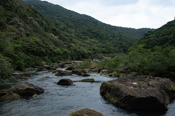 西表島　浦内川