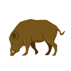 Wild boar isolated on white background. Vector graphics.
