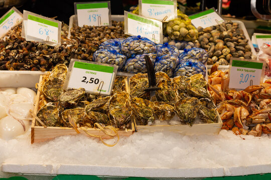 Ostrea, variety of seafood on ice for sale to the public