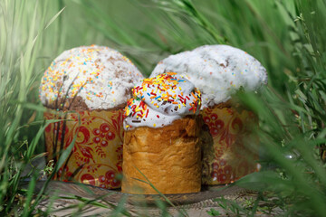Three easter cakes in the nature against a background of a green spring grass