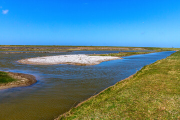 Wagejot, Vogelbrutgebiet, Insel Texel, Niederlande