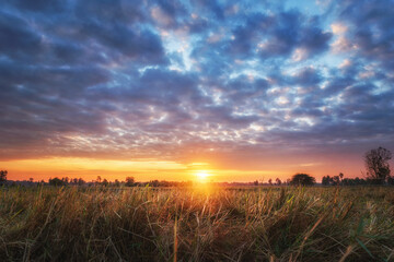 Naklejka na ściany i meble Rural landscape the fields at sunrise morning and beautiful sky