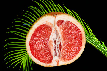 red grapefruit on a beautiful background