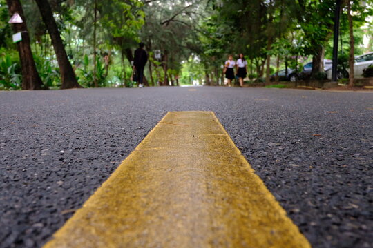 Surface Level Of Road Against Trees In City