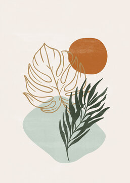 Botanical vintage print boho sun minimalist wall art abstract home decor