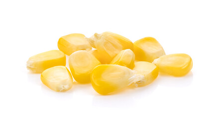 yellow corn grains on white